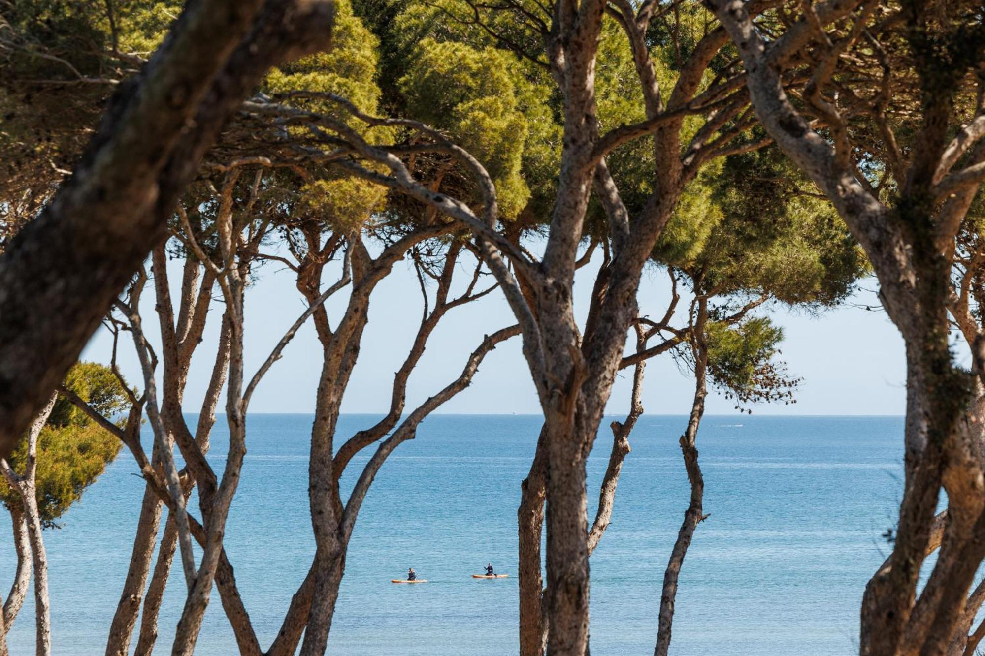 Le Domaine De La Mer - Appartements De Plage Dans Un Cadre Enchanteur Apartment Hyeres