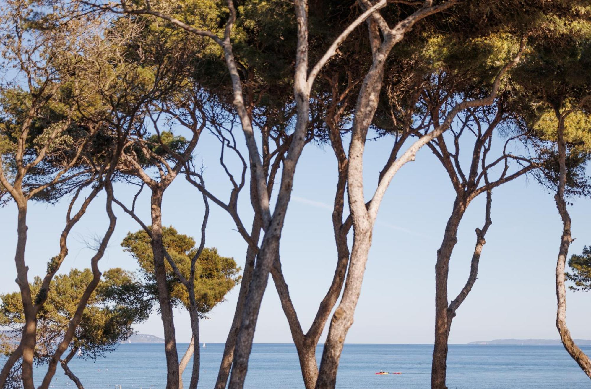 Le Domaine De La - De Dans Un Cadre Enchanteur Apartamento *